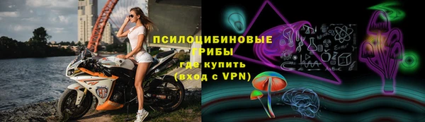 стаф Алзамай