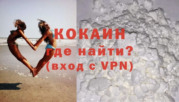 стаф Алзамай