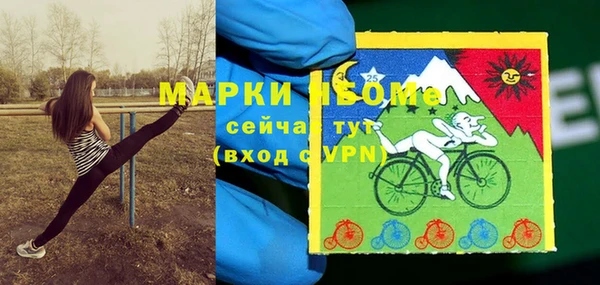 стаф Алзамай