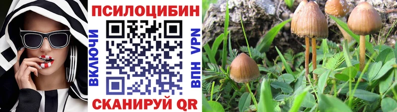 Галлюциногенные грибы Psilocybine cubensis  Пугачёв 